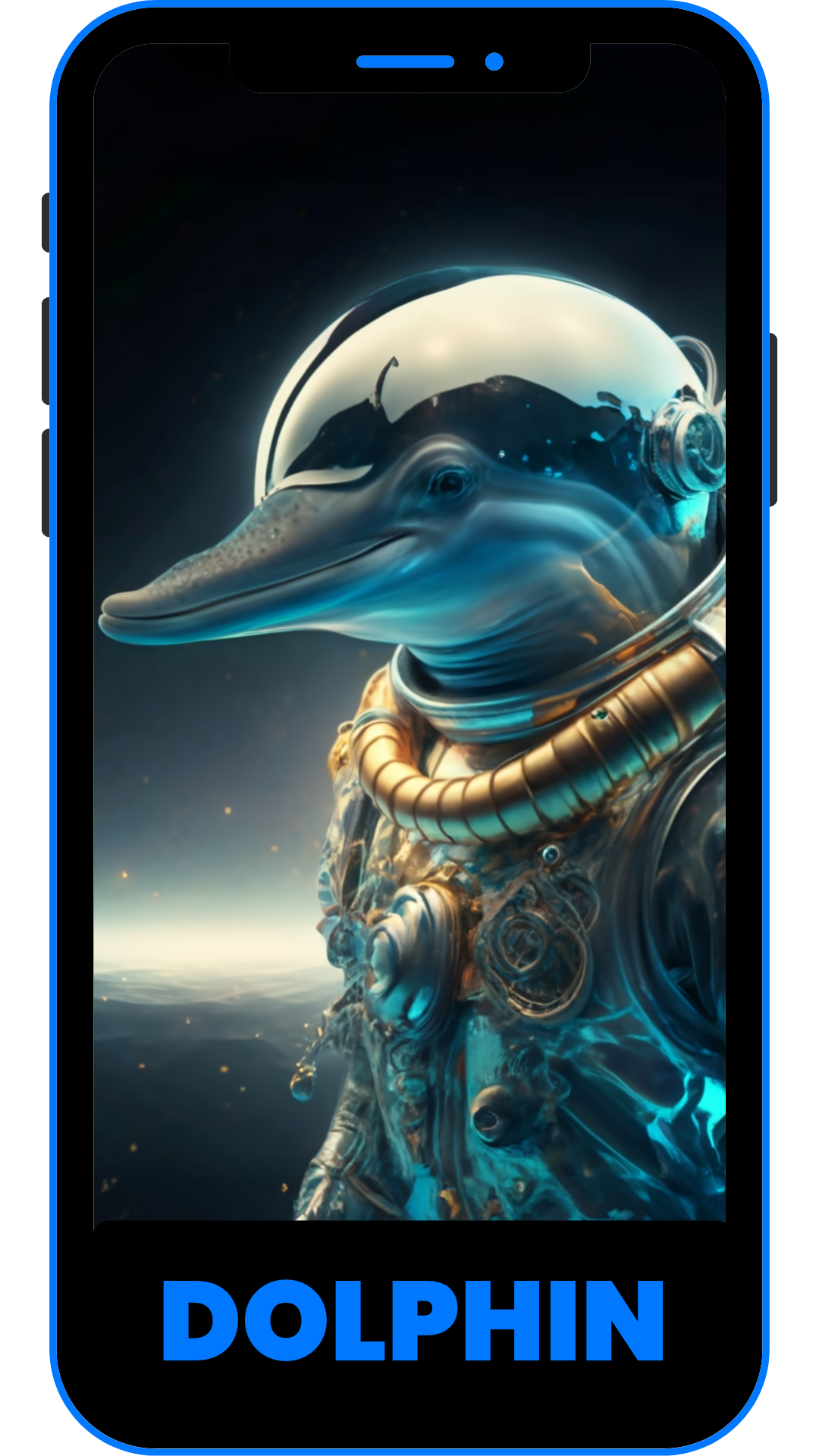 DOLPHIN front